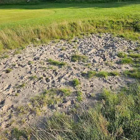 Modern Retreat In Arrild - By Traum * Toftlund