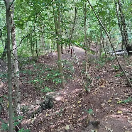 Modern Retreat In Arrild - By Traum 펜션 Toftlund