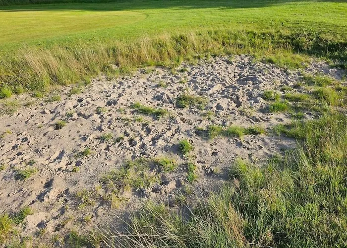 Modern Retreat In Arrild - By Traum * Toftlund