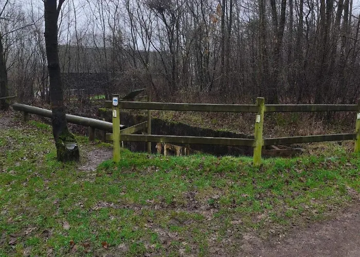 Modern Retreat In Arrild - By Traum *